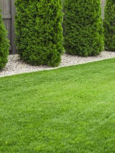 Precision lawn edging enhances curb appeal, defines spaces, and keeps your landscape looking polished all season long.