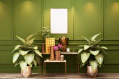 Modern green-paneled interior with symmetrical foliage in gold planters and luxury decor accents—high-end plant styling and biophilic design by Blush Gardens & Snow.