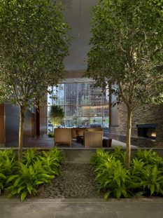 Bringing Nature Indoors Lush greenery enhancing indoor spaces, creating a calming and inviting atmosphere.