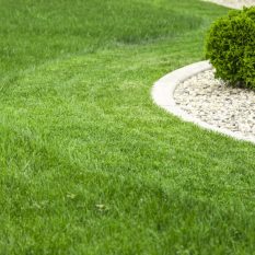 Lawn Mowing Services in Toronto & the GTA Lawn Mowing Services in Toronto & the GTA