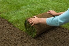 Lawn Sodding Services in Toronto & the GTA Woman applying turf rolls in the backyard